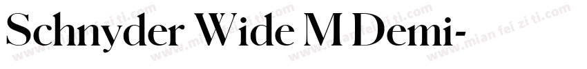 Schnyder Wide M Demi字体转换
